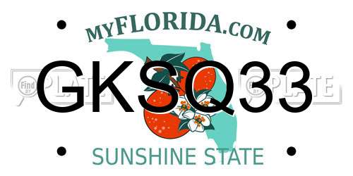 GKSQ33 Florida License Plate