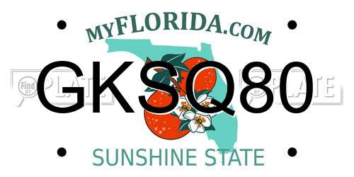 GKSQ80 Florida License Plate