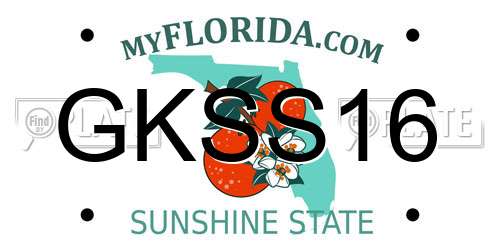 GKSS16 Florida License Plate
