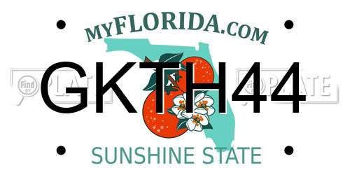 GKTH44 Florida License Plate