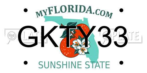 GKTY33 Florida License Plate