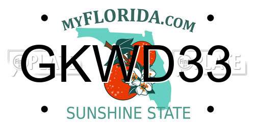 GKWD33 Florida License Plate