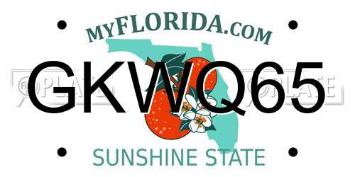 GKWQ65 Florida License Plate