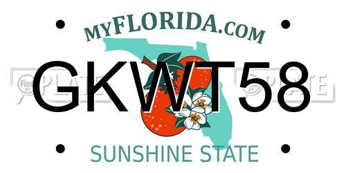 GKWT58 Florida License Plate