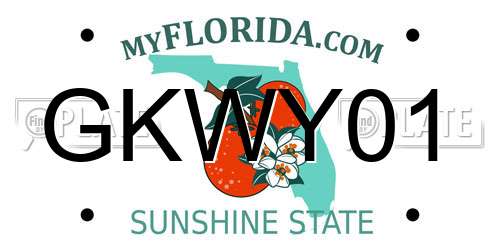 GKWY01 Florida License Plate