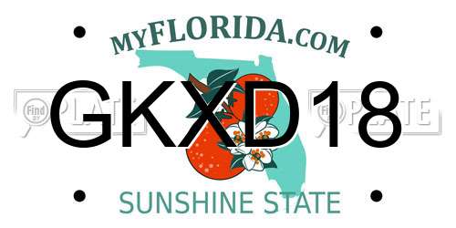 GKXD18 Florida License Plate
