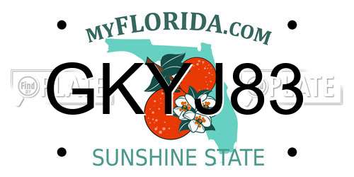 GKYJ83 Florida License Plate