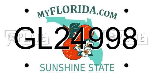 GL24998 Florida License Plate