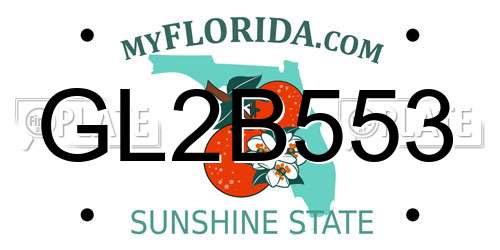 GL2B553 Florida License Plate