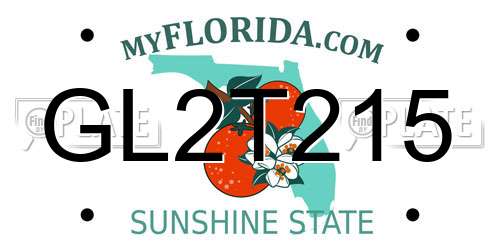 GL2T215 Florida License Plate