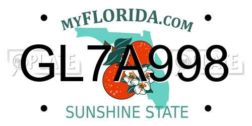 GL7A998 Florida License Plate
