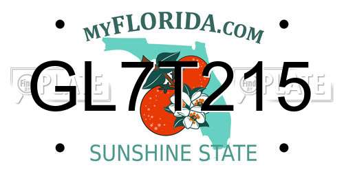 GL7T215 Florida License Plate