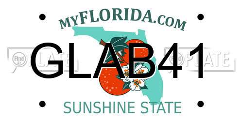 GLAB41 Florida License Plate