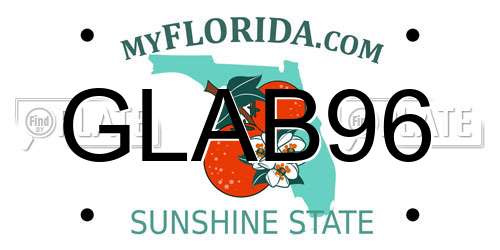GLAB96 Florida License Plate