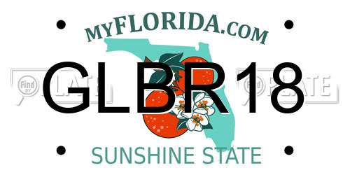 GLBR18 Florida License Plate