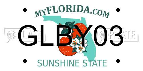 GLBY03 Florida License Plate