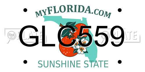 GLC559 Florida License Plate