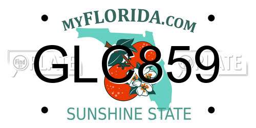 GLC859 Florida License Plate