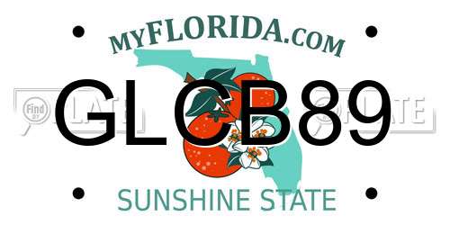GLCB89 Florida License Plate