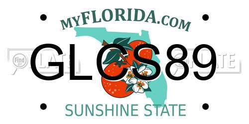GLCS89 Florida License Plate