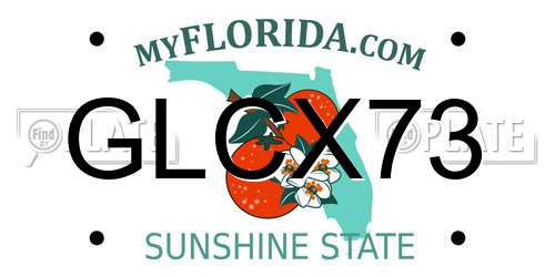GLCX73 Florida License Plate