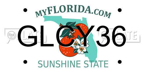 GLCY36 Florida License Plate