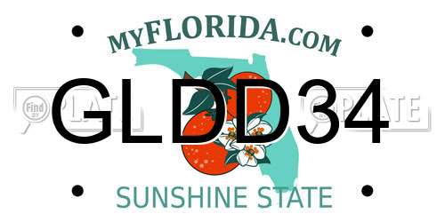 GLDD34 Florida License Plate