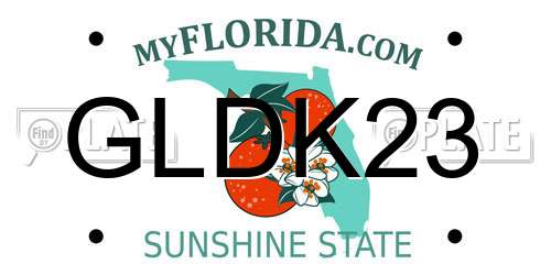 GLDK23 Florida License Plate