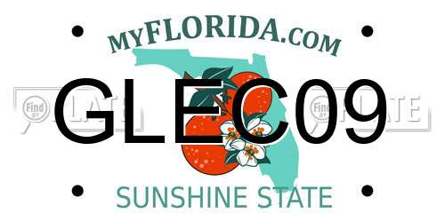 GLEC09 Florida License Plate
