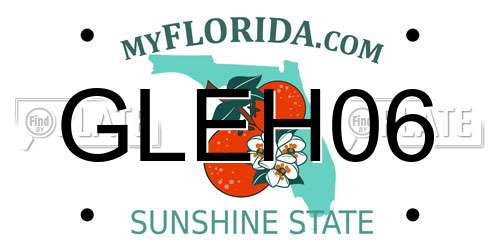 GLEH06 Florida License Plate