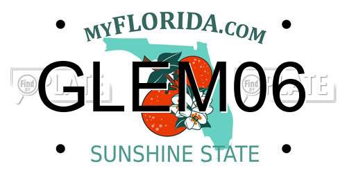 GLEM06 Florida License Plate