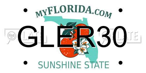 GLER30 Florida License Plate