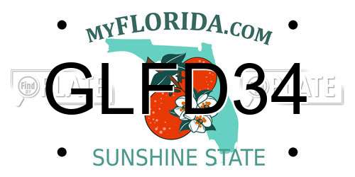 GLFD34 Florida License Plate