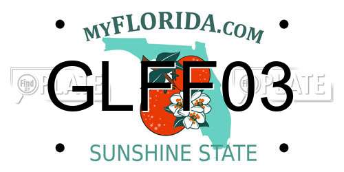 GLFF03 Florida License Plate