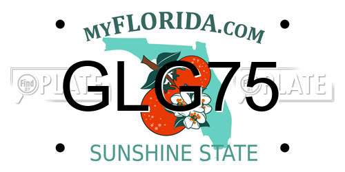 GLG75 Florida License Plate
