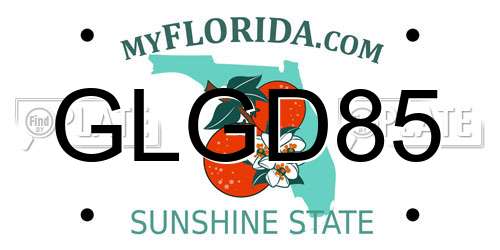 GLGD85 Florida License Plate
