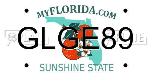 GLGE89 Florida License Plate