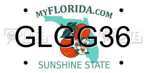 GLGG36 Florida License Plate