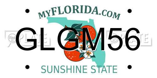 GLGM56 Florida License Plate