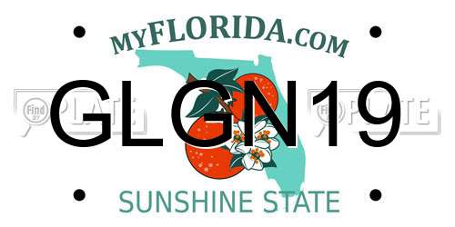 GLGN19 Florida License Plate