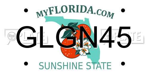 GLGN45 Florida License Plate