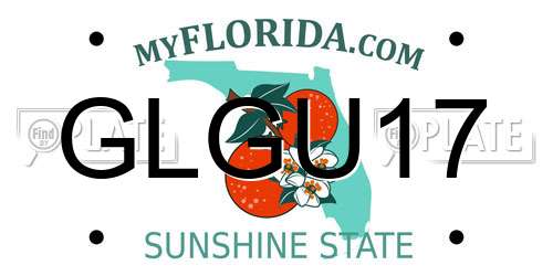 GLGU17 Florida License Plate