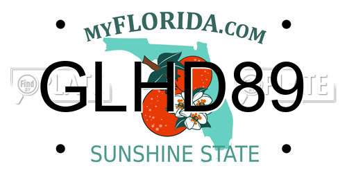 GLHD89 Florida License Plate