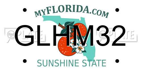 GLHM32 Florida License Plate