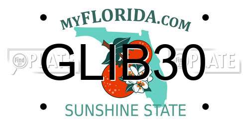 GLIB30 Florida License Plate