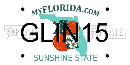 GLIN15 Florida License Plate