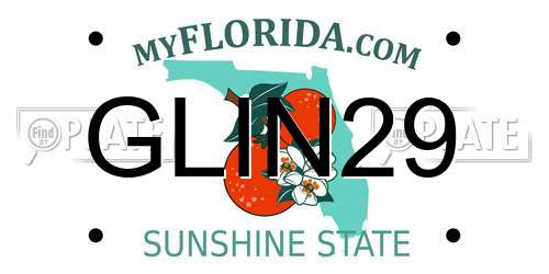 GLIN29 Florida License Plate