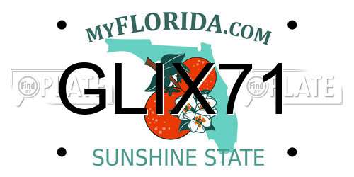 GLIX71 Florida License Plate