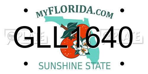 GLL1640 Florida License Plate