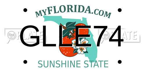 GLLE74 Florida License Plate